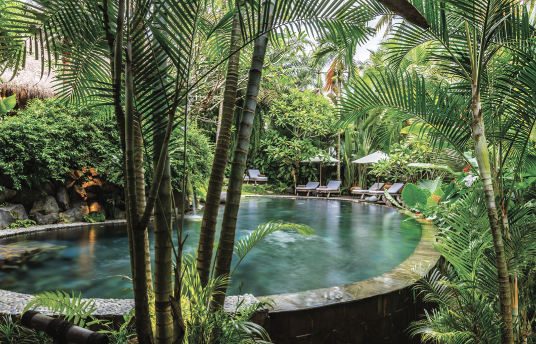 sacred island sanctuary