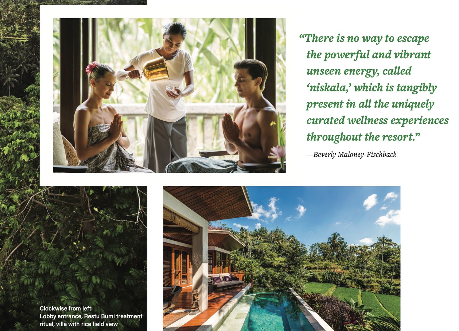 sacred island sanctuary