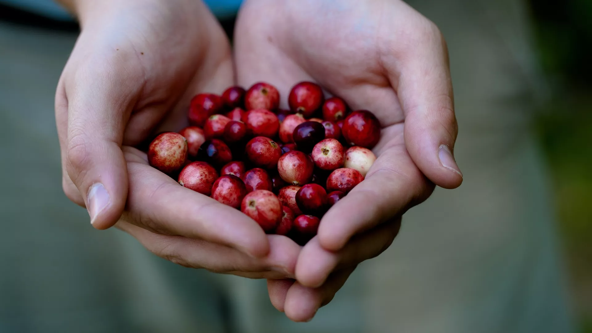 wellness meets culinary artistry